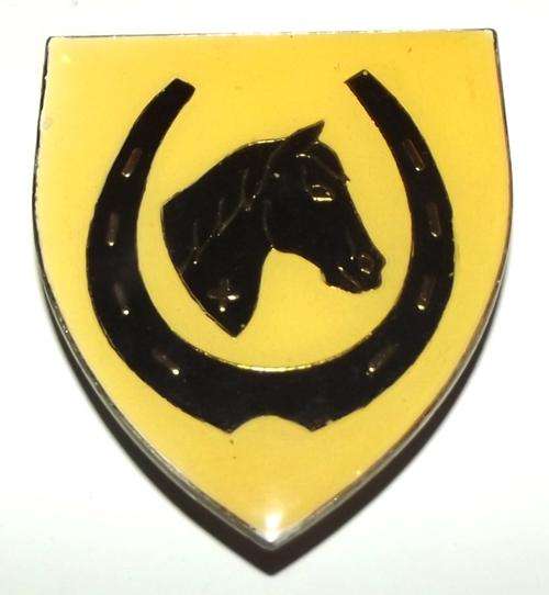 SADF Equestrian Centre Metal Shoulder Flash