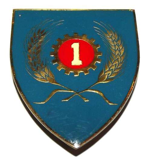 SADF 1 Maintenance Unit Metal Shoulder Flash