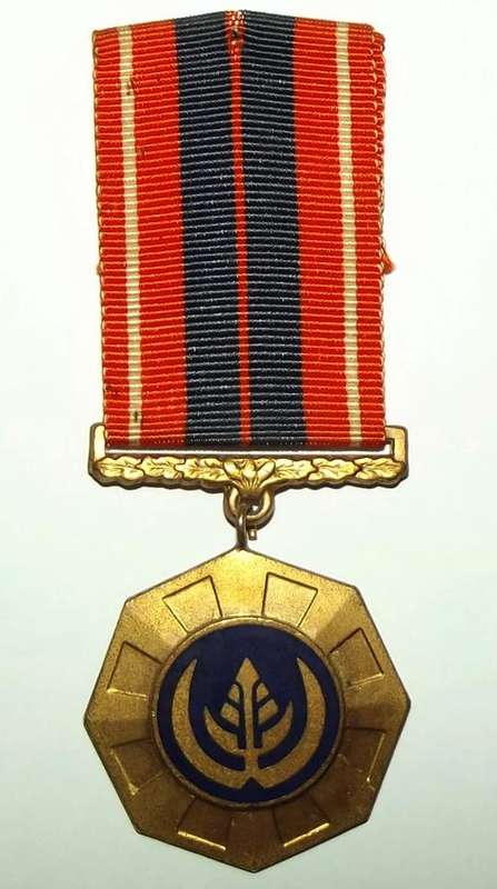 SADF Bush War Pro Patria 1st Type Link Suspender Full Size Medal for Border Service