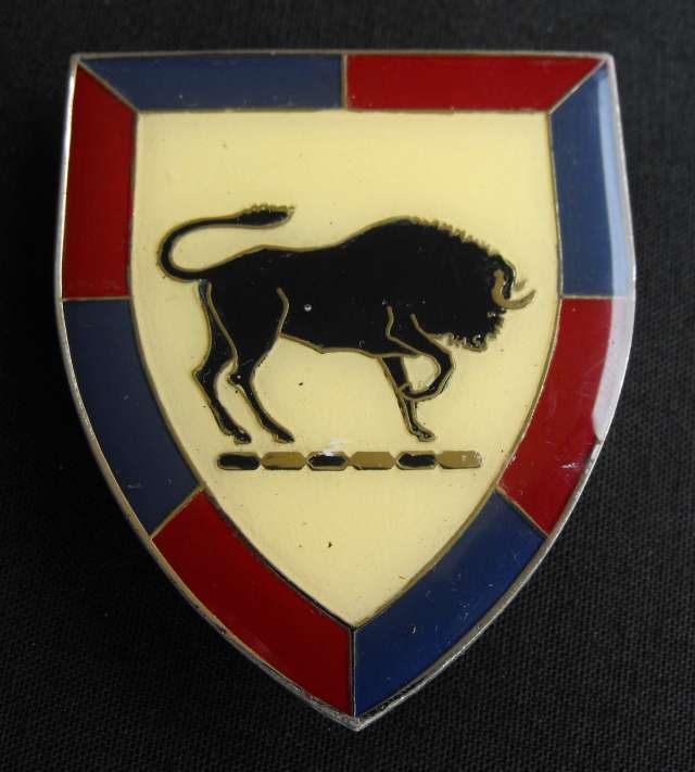 SADF ARMY COLLEGE RIGHT FACING METAL SHOULDER FLASH