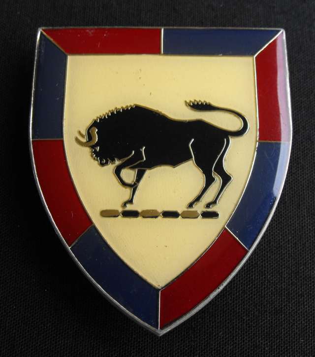 SADF ARMY COLLEGE LEFT FACING METAL SHOULDER FLASH