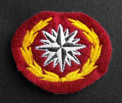 SA RECCE 3rd TYPE CLOTH BERET BADGE