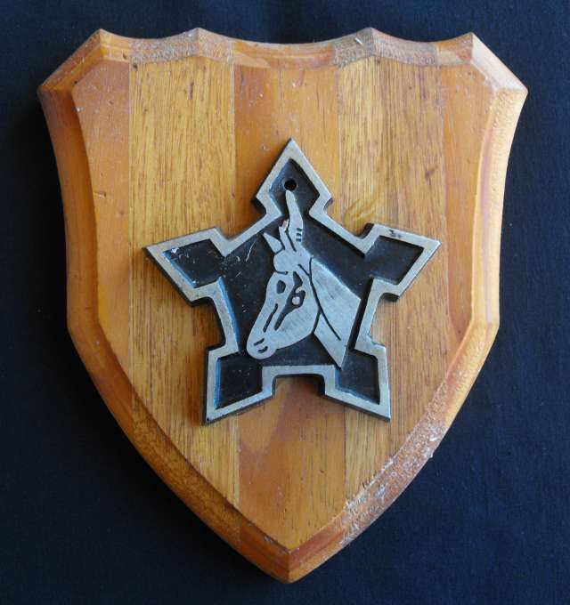 SADF ARMY METAL ON WOOD PLAQUE