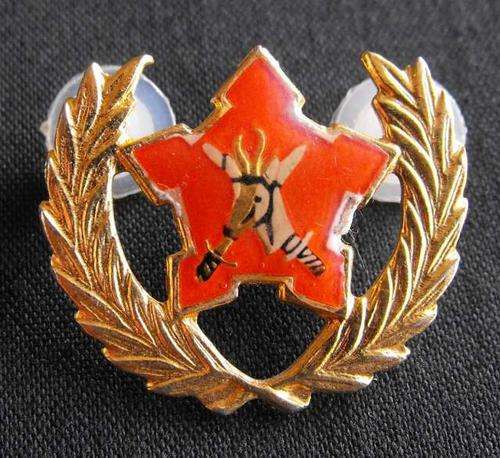 SADF ARMY VOLUNTEER METAL BREAST BADGE