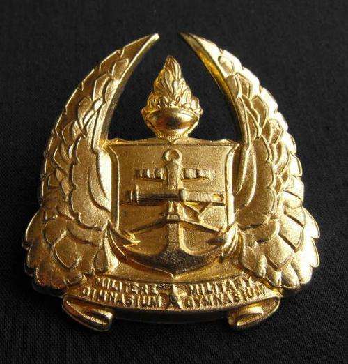 SADF MILITARY GYMNASIUM METAL CAP BADGE