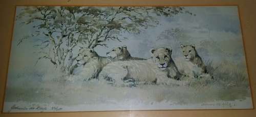 Stunning Detail. Johnnie De Kock.Rare original gouache and watercolour.