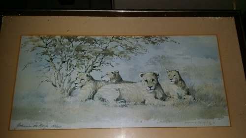Stunning Detail. Johnnie De Kock.Rare original gouache and watercolour.