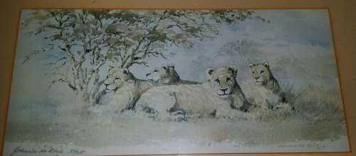 Stunning Detail. Johnnie De Kock.Rare original gouache and watercolour.