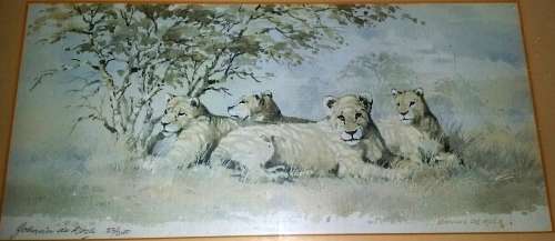 Stunning Detail. Johnnie De Kock.Rare original gouache and watercolour.