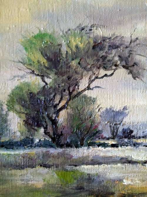 Original Oils on Board.Gerrit Pitout Stunning Oils- Bushveld Scene-Framed