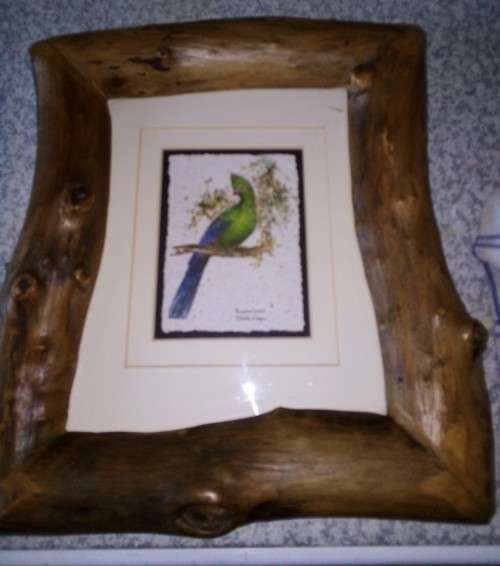 Knysna Loerie- Sheila Cooper Yellowood Frame- Tanglewood