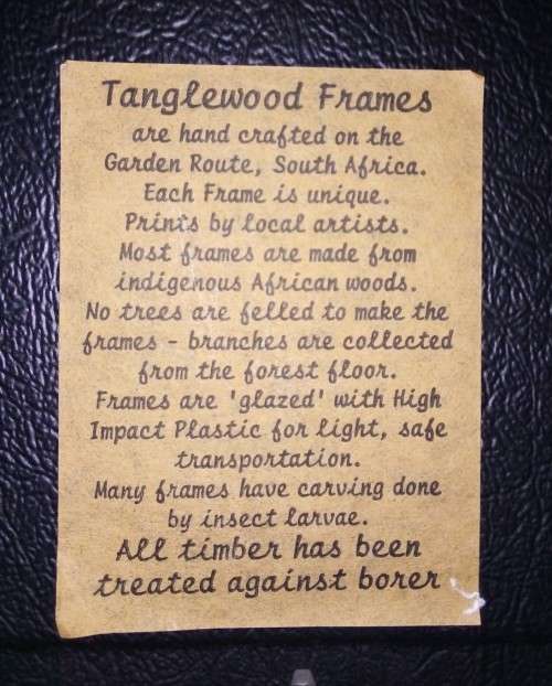 Knysna Loerie- Sheila Cooper Yellowood Frame- Tanglewood