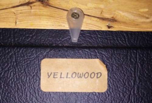 Knysna Loerie- Sheila Cooper Yellowood Frame- Tanglewood