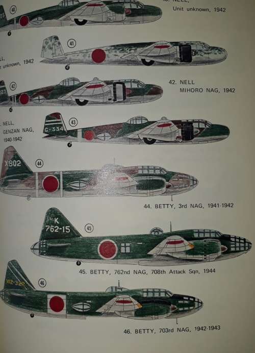 Japanese Army Air Force Camouflage Markings World War II- Donald W. Thorpe 5 Star**