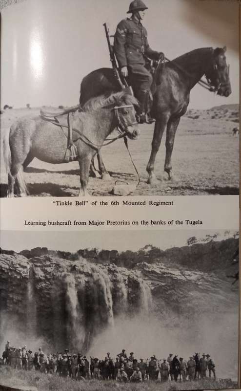 Limited Edition: Prepare to mount: The story of the 6th Mounted Regiment  by  Albert Plane