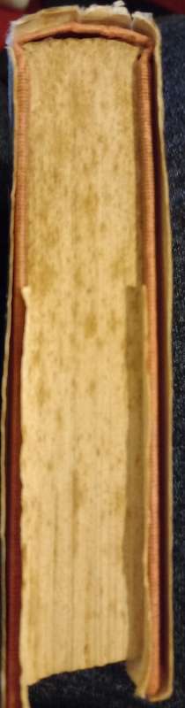 Jaws Peter Benchley First Edition