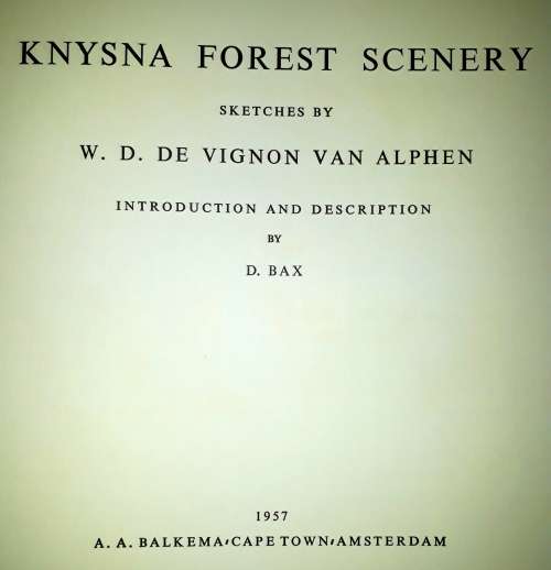 Knysna Forest Scenery Sketches by WD De Vignon Van Alphen