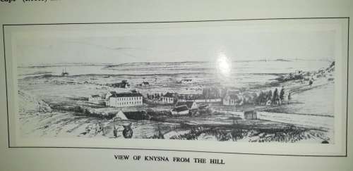 Knysna Forest Scenery Sketches by WD De Vignon Van Alphen