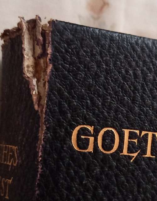 Goethe`s Faust: A Tragedy-Johann Wolfgang von Goethe: translated by Bayard Taylor