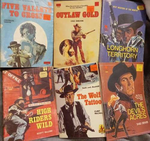 15 Western Comics & reading comics