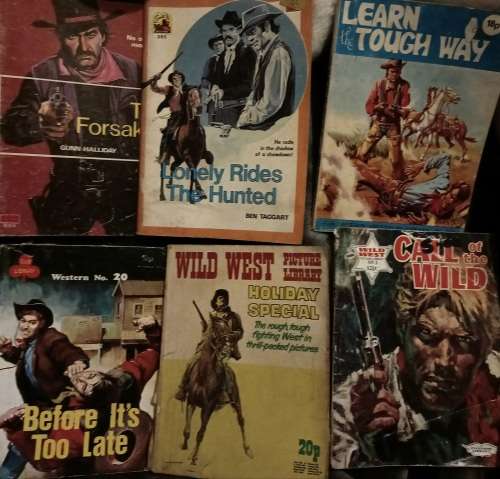 15 Western Comics & reading comics