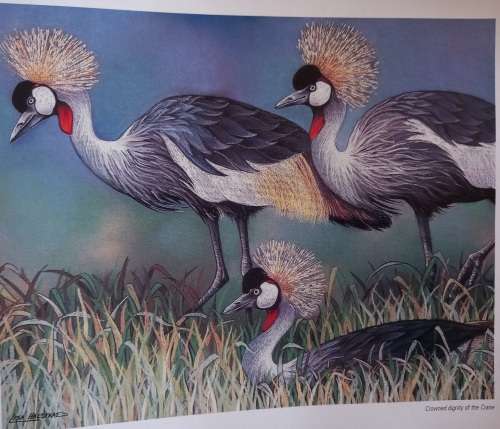 Out of the Meek, Comes the Wild - Lisa Halstead Wildlife Artist