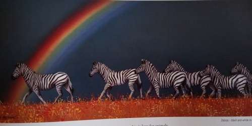 Out of the Meek, Comes the Wild - Lisa Halstead Wildlife Artist