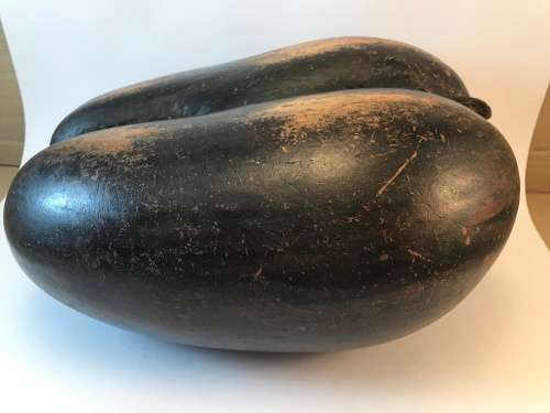 Coco de mer
