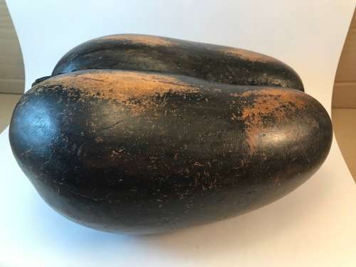 Coco de mer