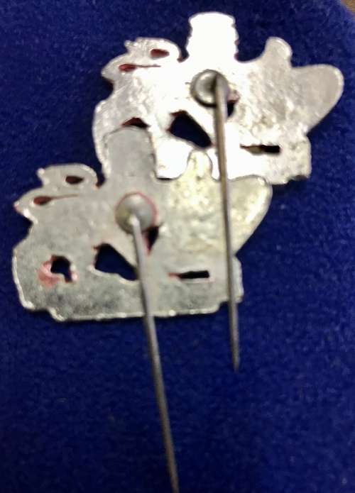 Pair Lions Rugby Pins