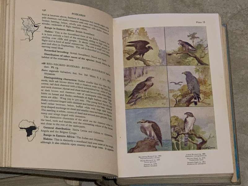 Birds of Eastern and North-Eastern Africa - C.W Mackworth-Praed and Captain C.H.B. Grant - Vol 1&2