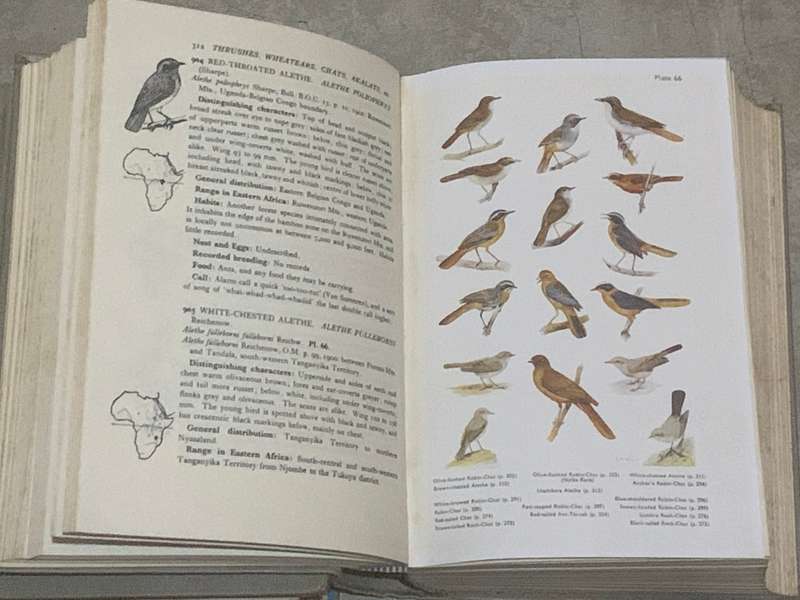 Birds of Eastern and North-Eastern Africa - C.W Mackworth-Praed and Captain C.H.B. Grant - Vol 1&2