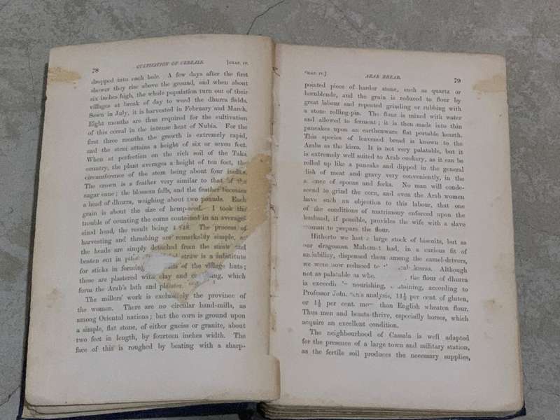 The Nile Tributaries of Abyssinia, and the Sword Hunters of the Hamran Arabs by Sir Samuel W. Baker