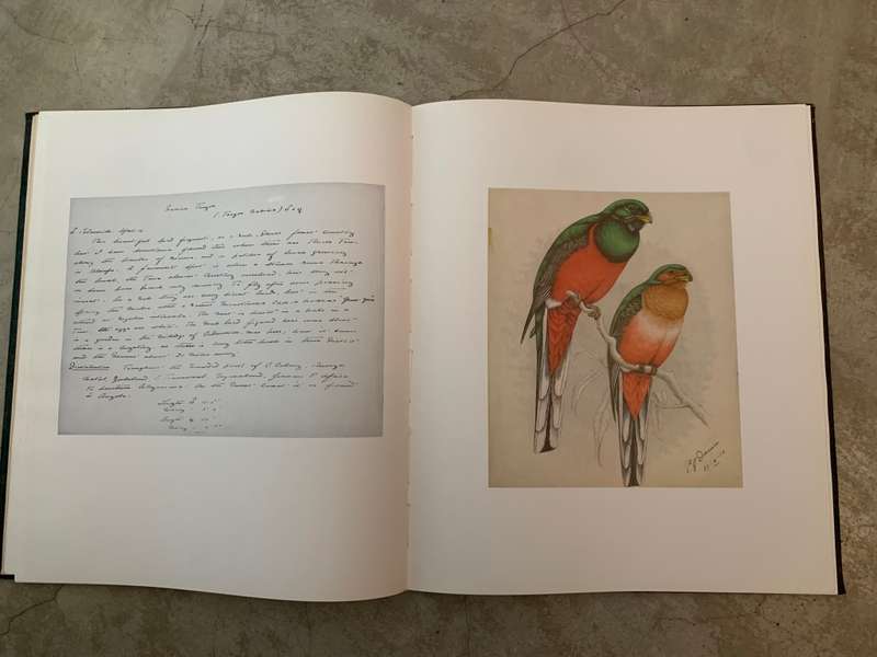 The Biography of Claude Gibney Finch-Davis 1875-1920