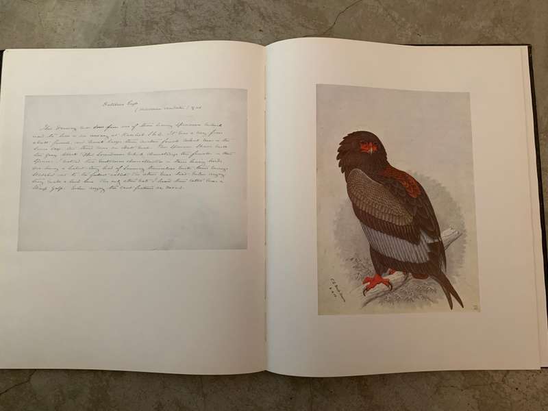 The Biography of Claude Gibney Finch-Davis 1875-1920