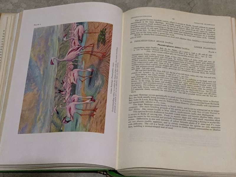The birds of Natal and Zululand by P.A.Clancey