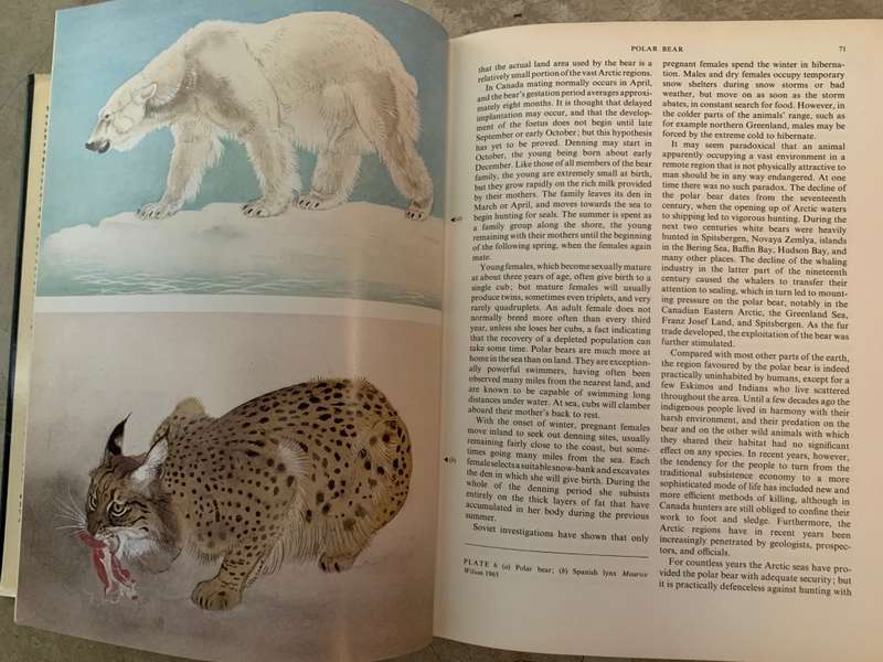 The Red Book: Wildlife in Danger