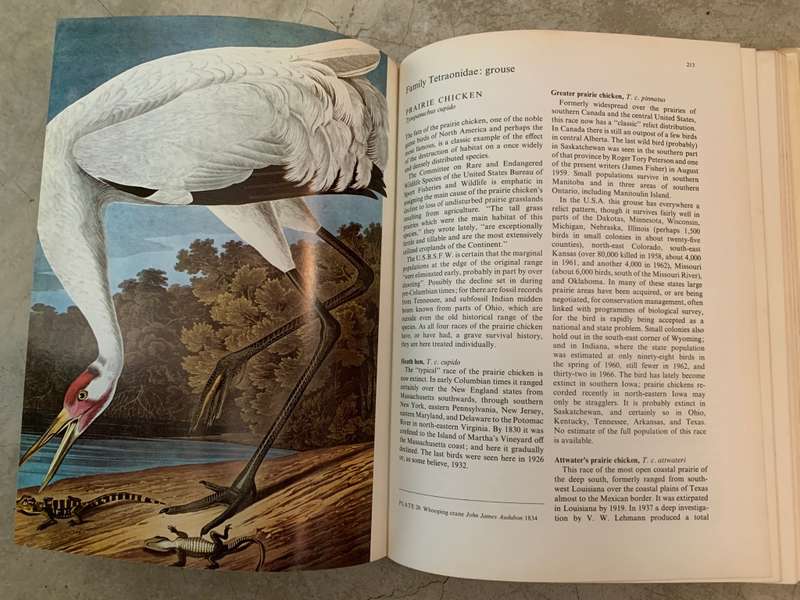 The Red Book: Wildlife in Danger