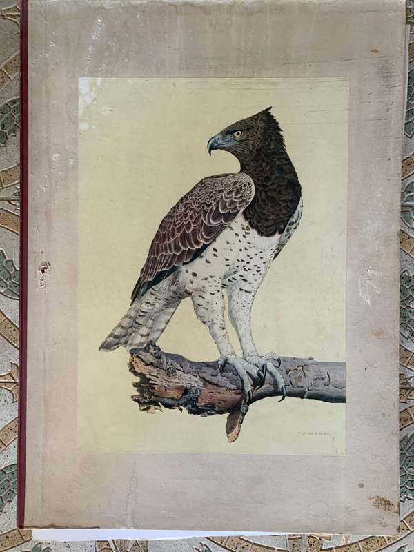 Kenneth Newman Photolithographic Prints Signed