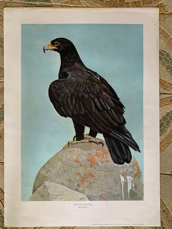 Kenneth Newman Photolithographic Prints Signed
