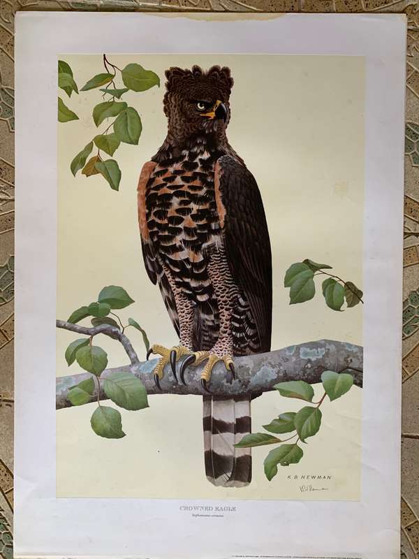 Kenneth Newman Photolithographic Prints Signed
