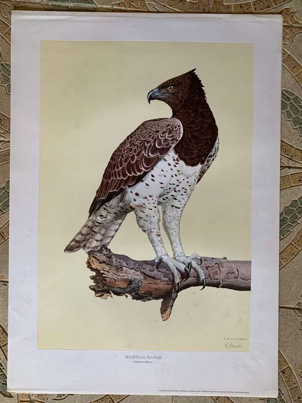 Kenneth Newman Photolithographic Prints Signed