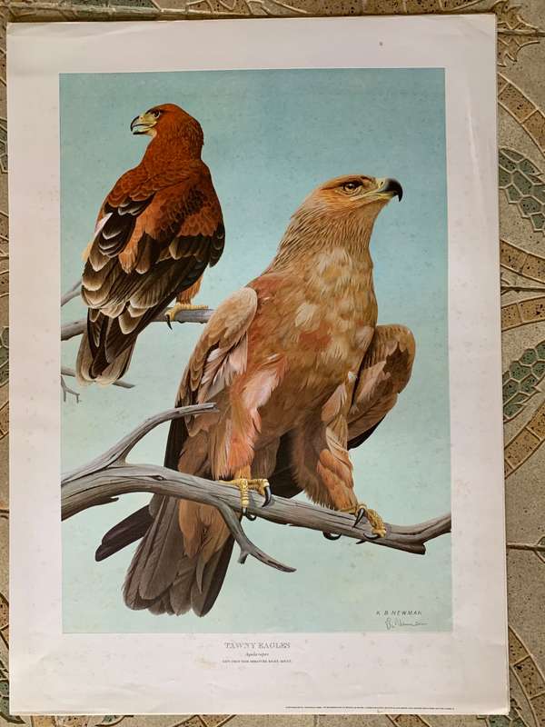 Kenneth Newman Photolithographic Prints Signed