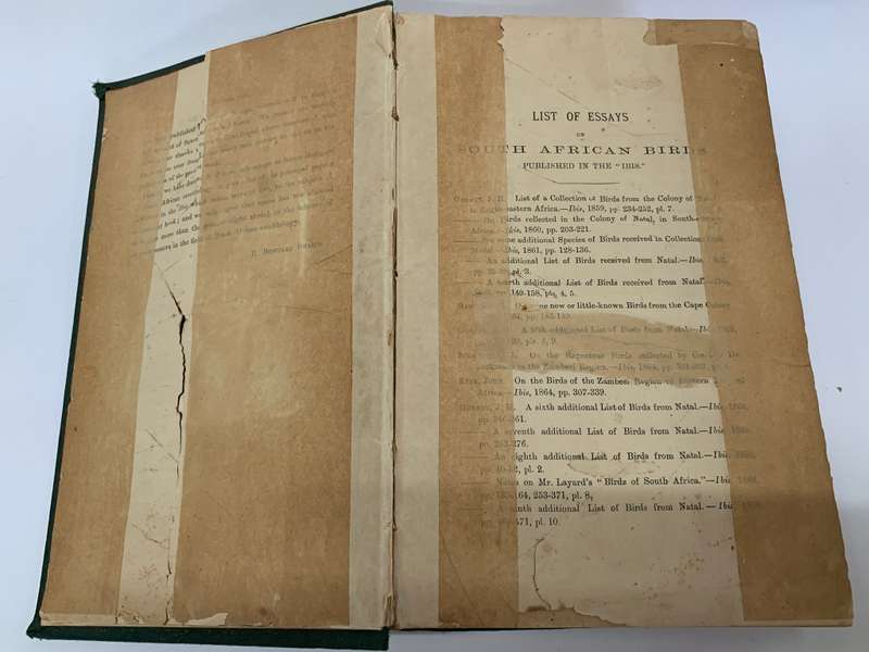 The Birds of South Africa by Edgar Leopold LAYARD