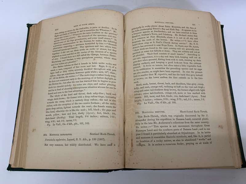 The Birds of South Africa by Edgar Leopold LAYARD