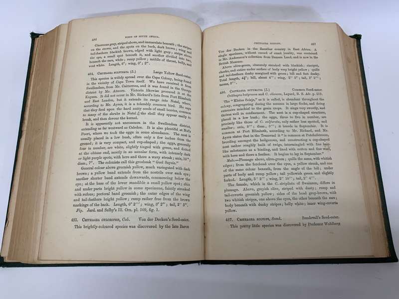 The Birds of South Africa by Edgar Leopold LAYARD