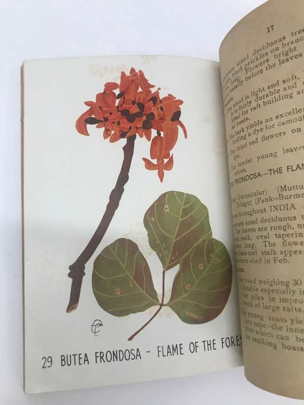 RARE WW2 BURMA CAMPAIGN MANUAL entitled `SOME JUNGLE TREES AND THEIR USES` 1944