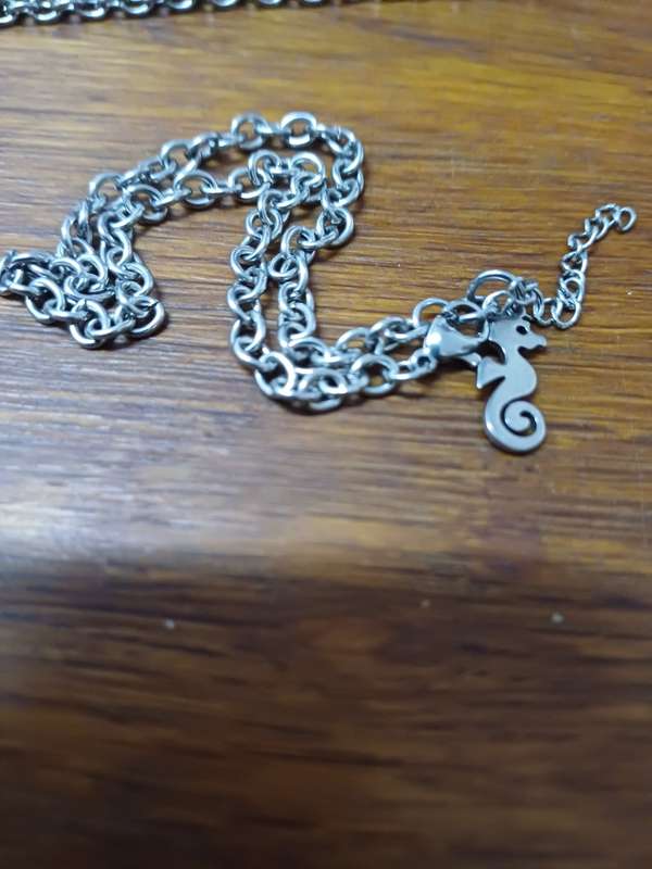 4mm titanium anklet with seahorse