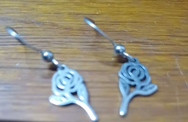 Titanium  roses earrings