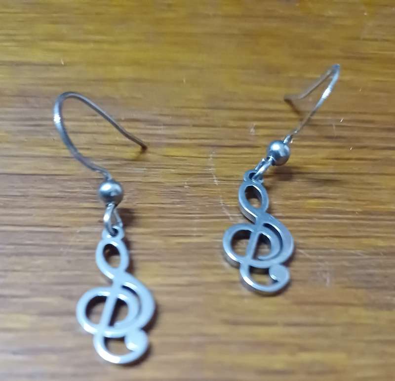 Titanium music note earrings